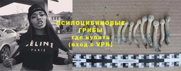 apvp Алексеевка