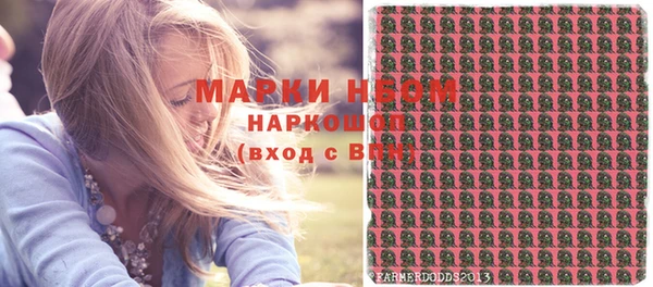 соль ск Алзамай