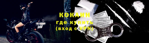 соль ск Алзамай