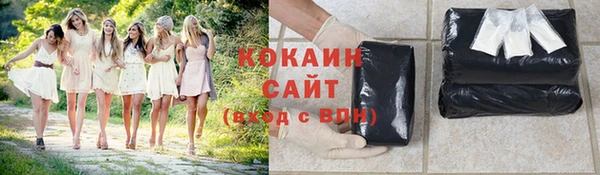 соль ск Алзамай