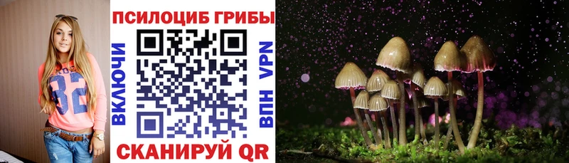 Псилоцибиновые грибы Psilocybine cubensis маркетплейс состав Камбарка закладки